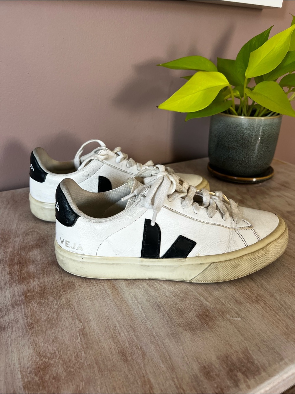 Veja White Leather Sneakers | Size 6 US